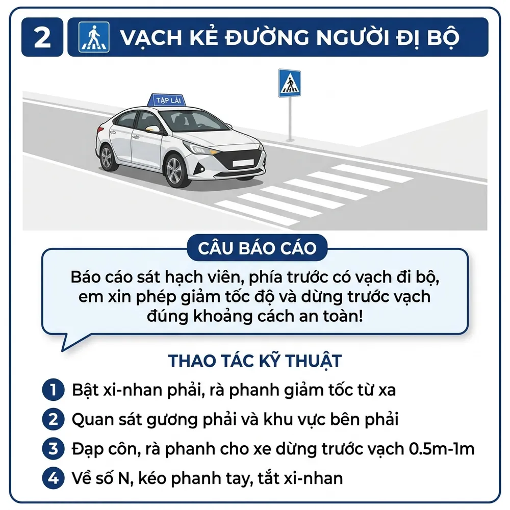 Tình huống 2: Vạch kẻ đường dành cho người đi bộ qua đường