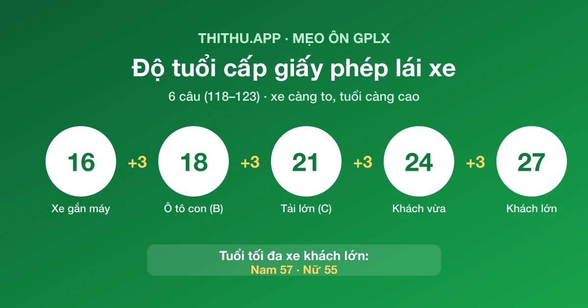 Mẹo Câu Hỏi Độ Tuổi & Thời Hạn GPLX (Bộ 600 Câu)