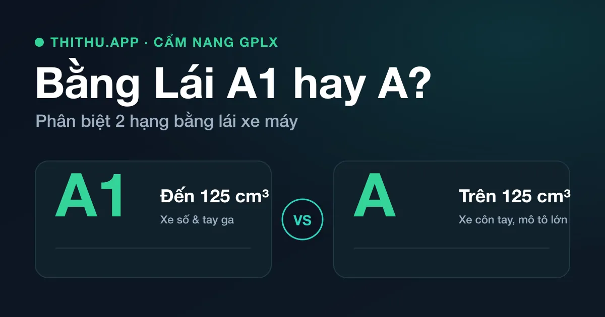 Phân Biệt Bằng Lái Xe A Và A1: Nên Thi Hạng Nào?