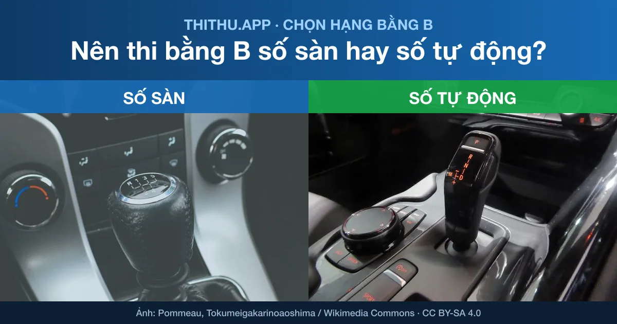 Nên Thi Bằng B Số Sàn Hay Số Tự Động? So Sánh 2025