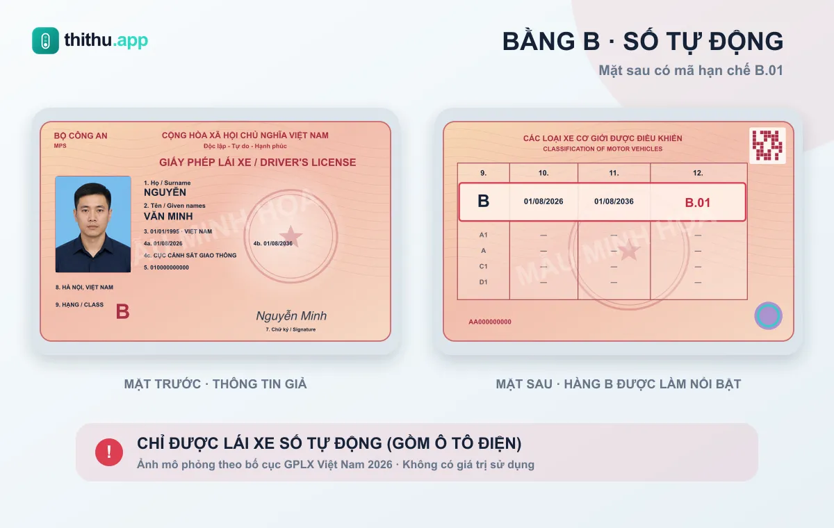 Mẫu minh họa hai mặt giấy phép lái xe hạng B số tự động theo bố cục GPLX Việt Nam 2026, có mã hạn chế B.01